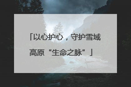 以心护心，守护雪域高原“生命之脉”