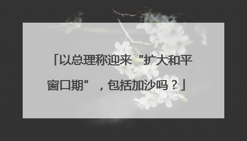 以总理称迎来“扩大和平窗口期”，包括加沙吗？