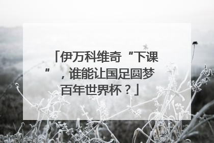 伊万科维奇“下课”，谁能让国足圆梦百年世界杯？