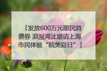 发放600万元惠民消费券 浪漫湾沚邀请上海市民体验“皖美夏日”