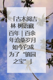 古木阅吉林 树语藏百年｜百余年沧桑岁月 如今它成为了“镇园之宝”