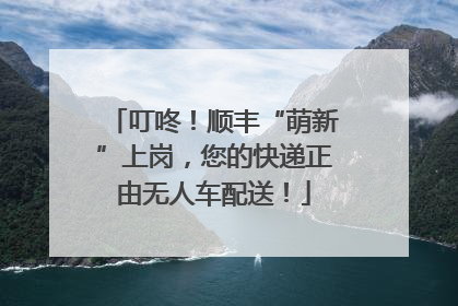 叮咚！顺丰“萌新”上岗，您的快递正由无人车配送！