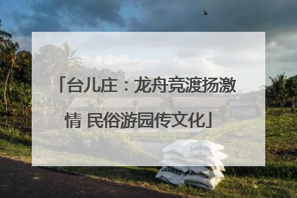 台儿庄：龙舟竞渡扬激情 民俗游园传文化