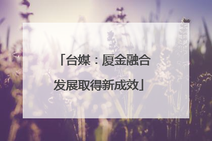 台媒：厦金融合发展取得新成效