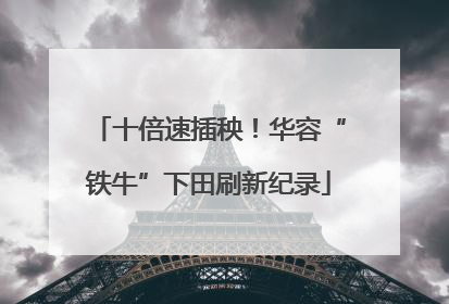 十倍速插秧！华容“铁牛”下田刷新纪录