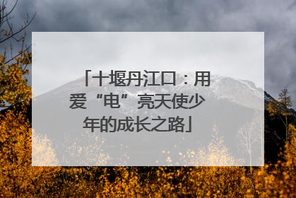 十堰丹江口：用爱“电”亮天使少年的成长之路