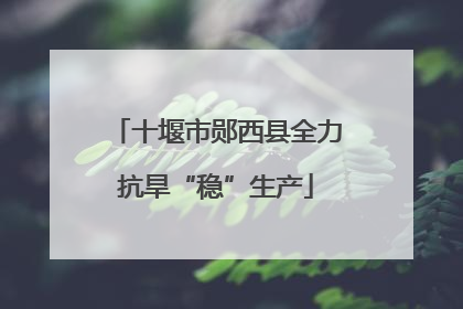 十堰市郧西县全力抗旱“稳”生产