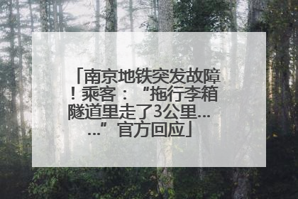 南京地铁突发故障！乘客：“拖行李箱隧道里走了3公里……”官方回应