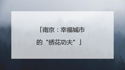 南京：幸福城市的“绣花功夫”