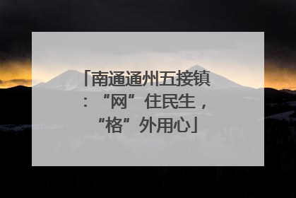 南通通州五接镇：“网”住民生，“格”外用心