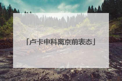 卢卡申科离京前表态