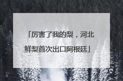 厉害了我的梨，河北鲜梨首次出口阿根廷