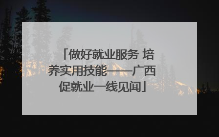 做好就业服务 培养实用技能——广西促就业一线见闻