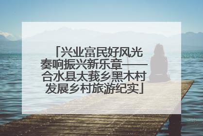 兴业富民好风光 奏响振兴新乐章——合水县太莪乡黑木村发展乡村旅游纪实