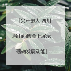 兴产聚人 四川眉山西博会上展示磅礴发展动能