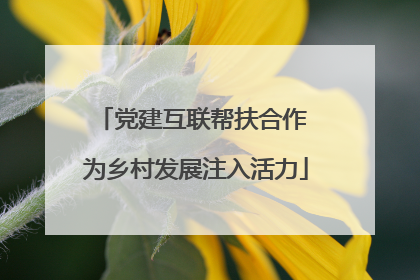 党建互联帮扶合作 为乡村发展注入活力
