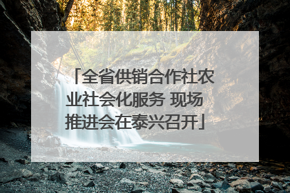 全省供销合作社农业社会化服务 现场推进会在泰兴召开