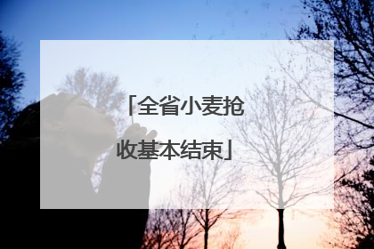 全省小麦抢收基本结束