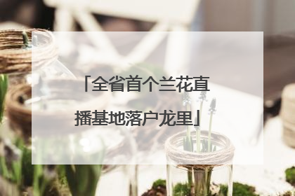 全省首个兰花直播基地落户龙里