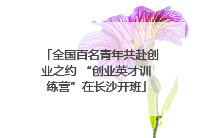 全国百名青年共赴创业之约 “创业英才训练营”在长沙开班
