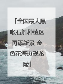 全国最大黑喉石斛种植区再添新景 金色花海扮靓龙陵
