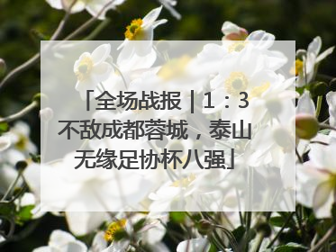 全场战报｜1：3不敌成都蓉城，泰山无缘足协杯八强