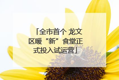 全市首个 龙文区暖“新”食堂正式投入试运营