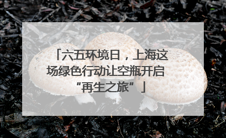 六五环境日，上海这场绿色行动让空瓶开启 “再生之旅”