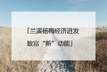 兰溪杨梅经济迸发致富“新”动能