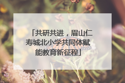 共研共进，眉山仁寿城北小学共同体赋能教育新征程