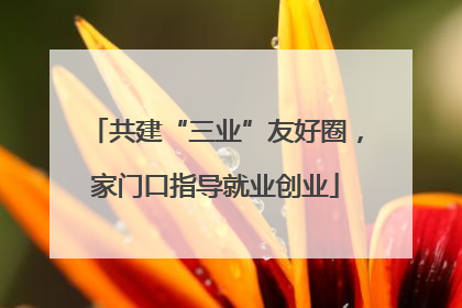 共建“三业”友好圈，家门口指导就业创业