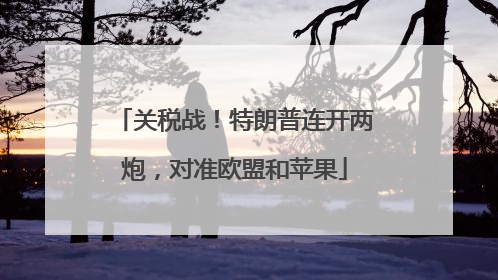 关税战！特朗普连开两炮，对准欧盟和苹果