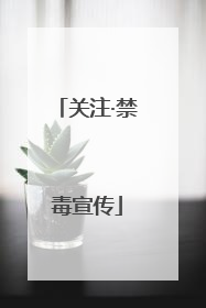 关注·禁毒宣传