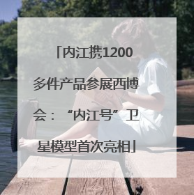 内江携1200多件产品参展西博会：“内江号”卫星模型首次亮相
