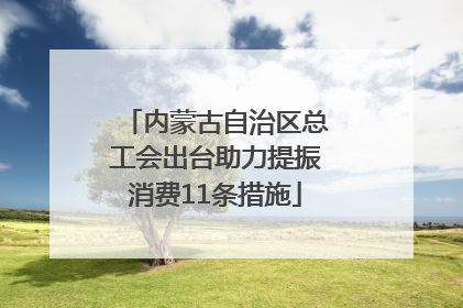 内蒙古自治区总工会出台助力提振消费11条措施