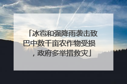 冰雹和强降雨袭击致巴中数千亩农作物受损，政府多举措救灾