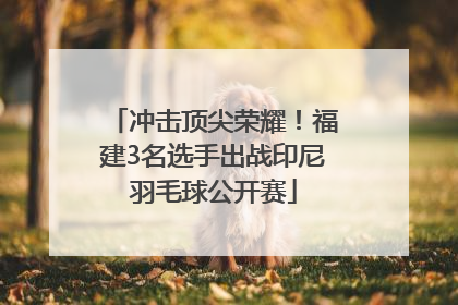 冲击顶尖荣耀！福建3名选手出战印尼羽毛球公开赛