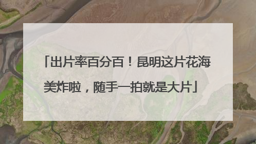 出片率百分百！昆明这片花海美炸啦，随手一拍就是大片