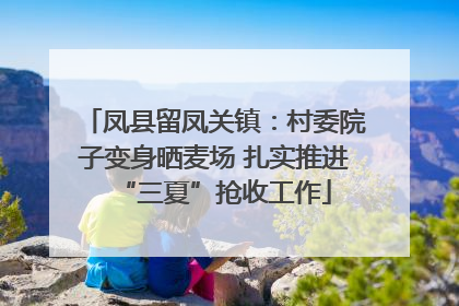 凤县留凤关镇：村委院子变身晒麦场 扎实推进“三夏”抢收工作