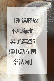 刑满释放不思悔改 男子连盗5辆电动车再落法网