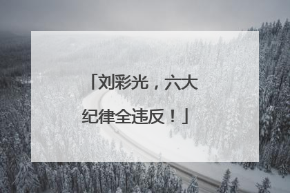 刘彩光，六大纪律全违反！