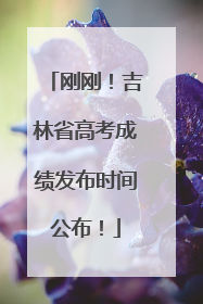 刚刚！吉林省高考成绩发布时间公布！
