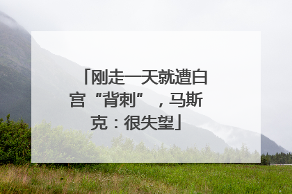 刚走一天就遭白宫“背刺”，马斯克：很失望