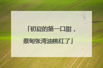 初夏的第一口甜，蔡甸张湾油桃红了
