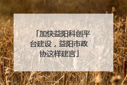 加快益阳科创平台建设，益阳市政协这样建言