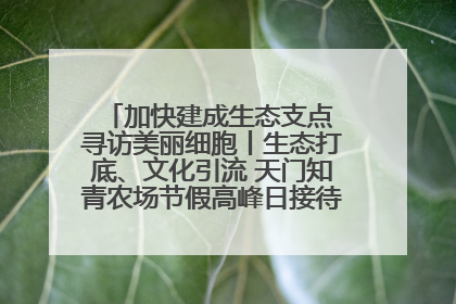 加快建成生态支点 寻访美丽细胞丨生态打底、文化引流 天门知青农场节假高峰日接待游客2万人次