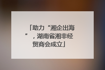 助力“湘企出海”，湖南省湘非经贸商会成立
