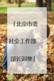 北京市委社会工作部部长调整