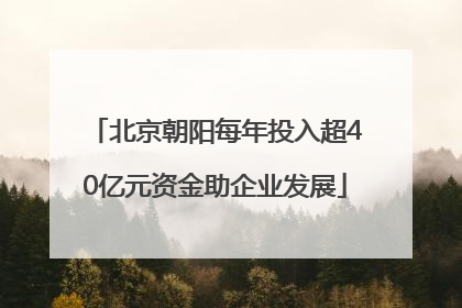 北京朝阳每年投入超40亿元资金助企业发展