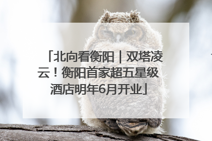 北向看衡阳｜双塔凌云！衡阳首家超五星级酒店明年6月开业